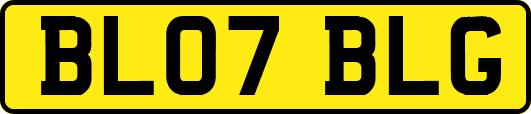 BL07BLG