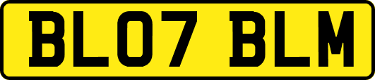BL07BLM