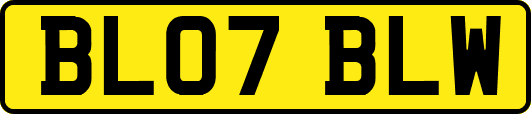 BL07BLW
