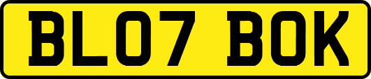 BL07BOK