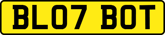 BL07BOT