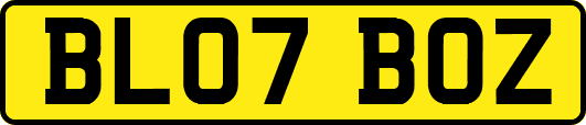 BL07BOZ