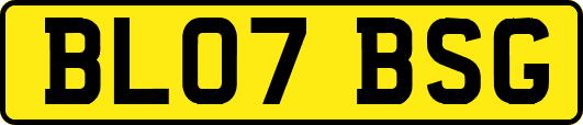 BL07BSG