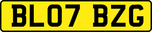 BL07BZG