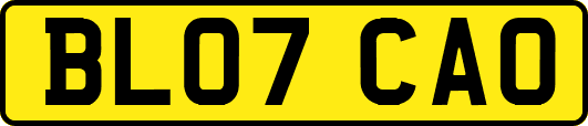 BL07CAO