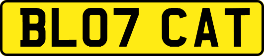 BL07CAT