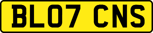BL07CNS