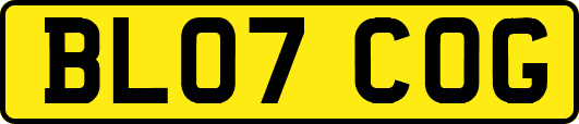 BL07COG