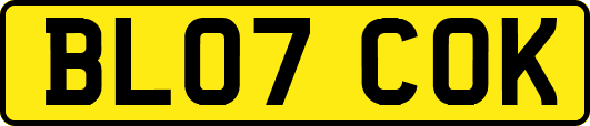 BL07COK