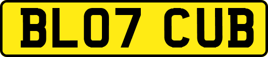 BL07CUB