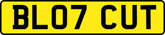BL07CUT