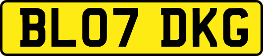 BL07DKG