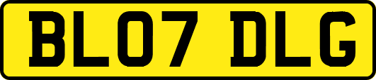 BL07DLG