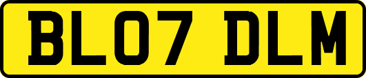 BL07DLM