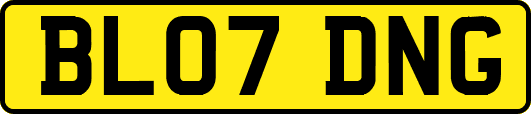 BL07DNG