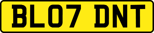 BL07DNT