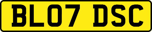 BL07DSC