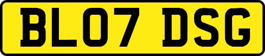 BL07DSG