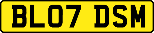 BL07DSM