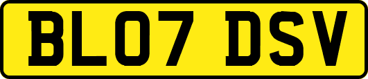 BL07DSV