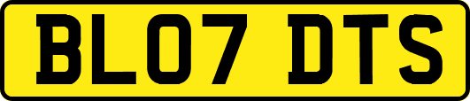 BL07DTS