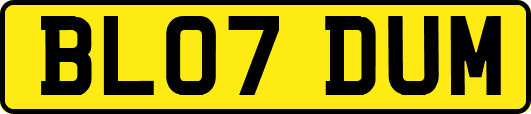 BL07DUM