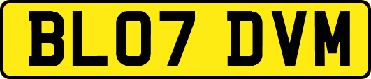 BL07DVM