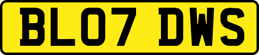 BL07DWS