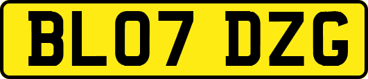 BL07DZG