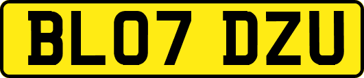 BL07DZU