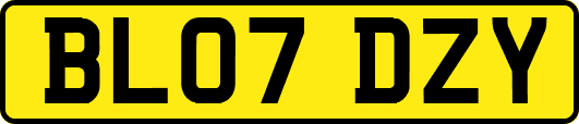 BL07DZY