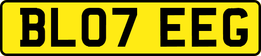 BL07EEG