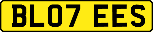 BL07EES