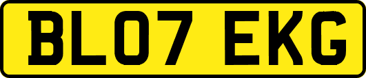 BL07EKG