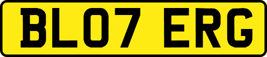 BL07ERG