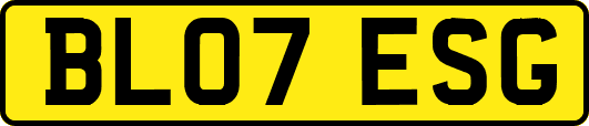 BL07ESG