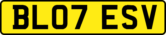 BL07ESV
