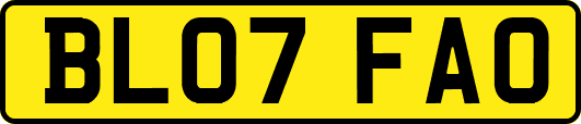 BL07FAO
