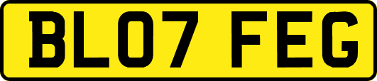 BL07FEG