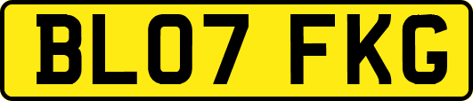 BL07FKG