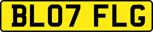 BL07FLG