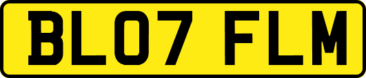 BL07FLM