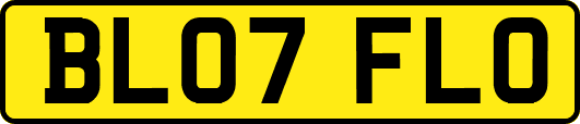 BL07FLO