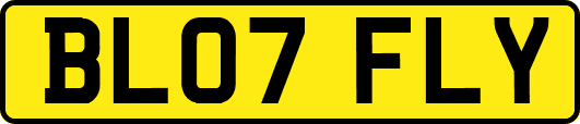 BL07FLY