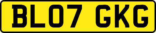 BL07GKG