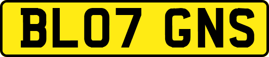 BL07GNS