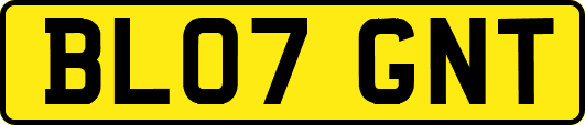 BL07GNT