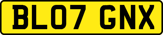 BL07GNX