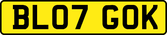 BL07GOK