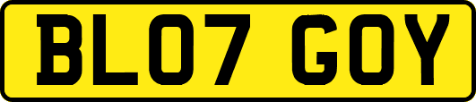 BL07GOY